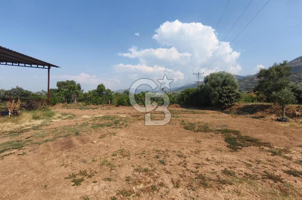 ÖDEMİŞ'TE İMARLI ALANA KOMŞU SATILIK 5900 m² MÜSTAKİL ÇİFTLİK Favorilerime Ekle Yazdır