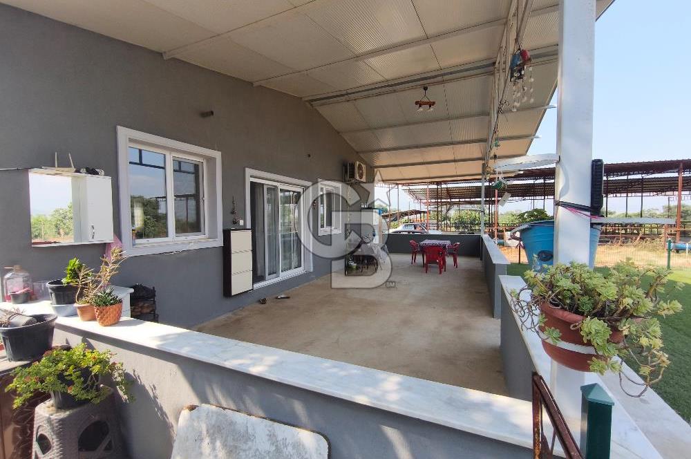 ÖDEMİŞ'TE İMARLI ALANA KOMŞU SATILIK 5900 m² MÜSTAKİL ÇİFTLİK Favorilerime Ekle Yazdır