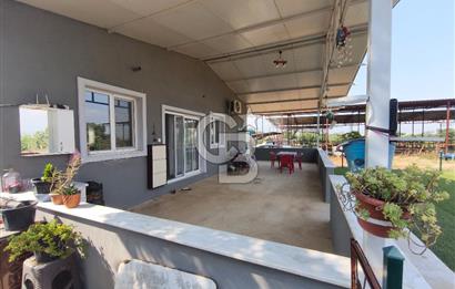 ÖDEMİŞ'TE İMARLI ALANA KOMŞU SATILIK 5900 m² MÜSTAKİL ÇİFTLİK Favorilerime Ekle Yazdır