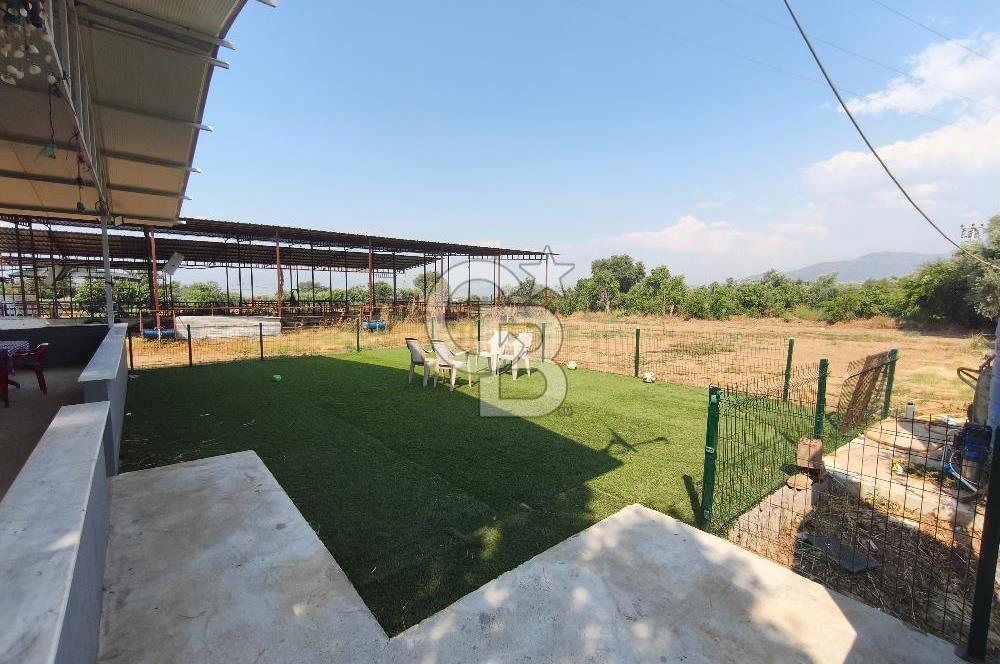 ÖDEMİŞ'TE İMARLI ALANA KOMŞU SATILIK 5900 m² MÜSTAKİL ÇİFTLİK Favorilerime Ekle Yazdır