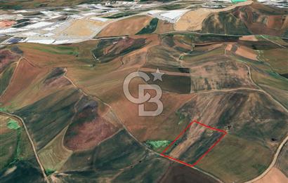 Akyurt Çınarda Sanayi Yakını 7.934m2 Satılık Yatırımlık Tarla