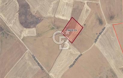 Akyurt Çınarda Sanayi Yakını 7.934m2 Satılık Yatırımlık Tarla