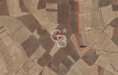 Akyurt Çınarda Sanayi Yakını 7.934m2 Satılık Yatırımlık Tarla