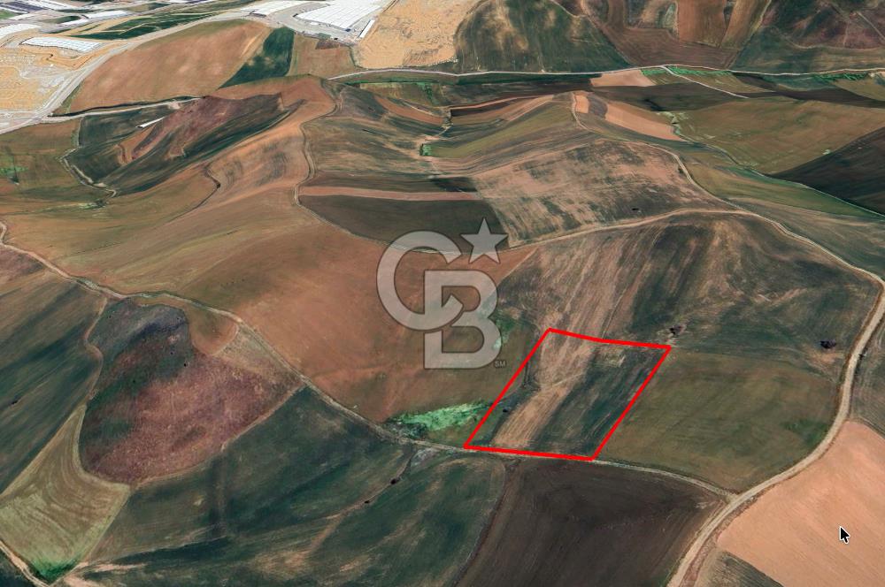 Akyurt Çınarda Sanayi Yakını 7.934m2 Satılık Yatırımlık Tarla