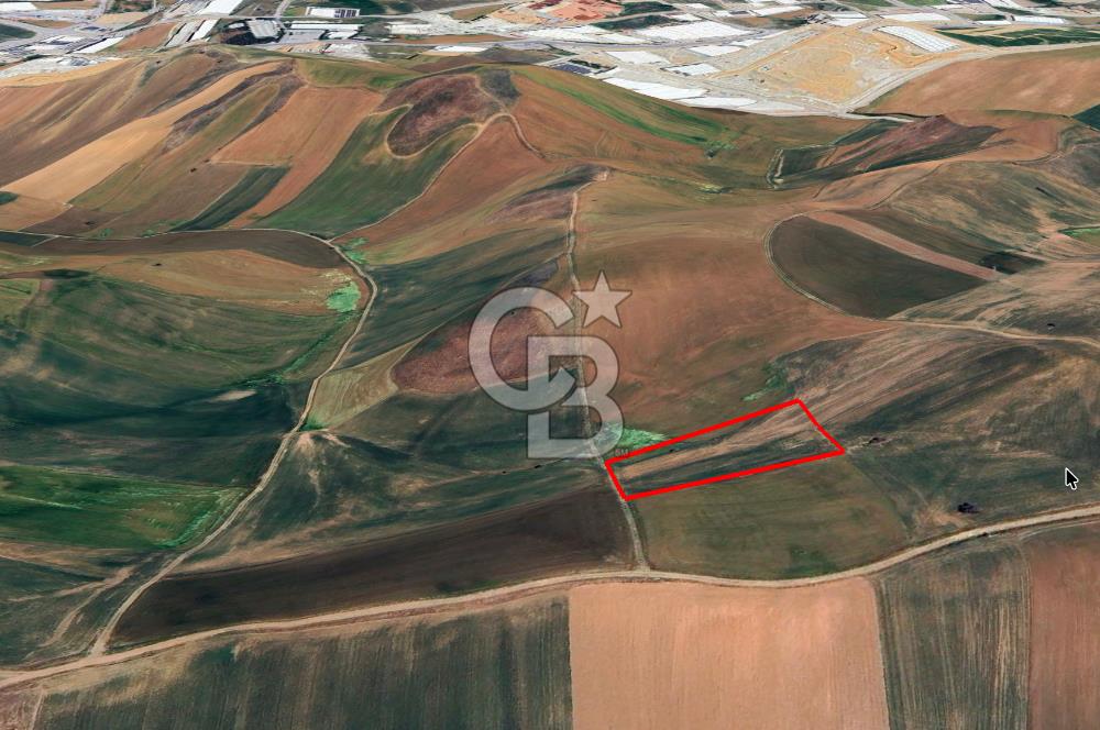 Akyurt Çınarda Sanayi Yakını 7.934m2 Satılık Yatırımlık Tarla