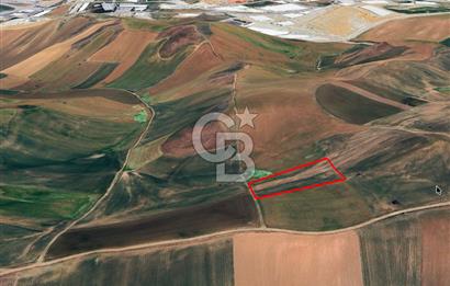 Akyurt Çınarda Sanayi Yakını 7.934m2 Satılık Yatırımlık Tarla