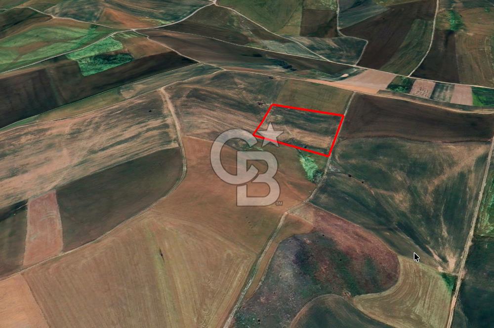 Akyurt Çınarda Sanayi Yakını 7.934m2 Satılık Yatırımlık Tarla
