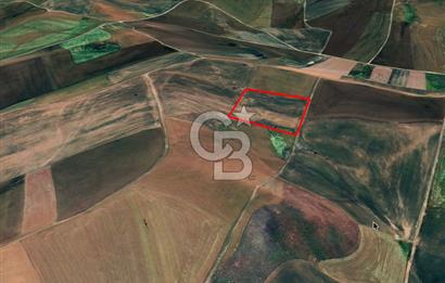 Akyurt Çınarda Sanayi Yakını 7.934m2 Satılık Yatırımlık Tarla