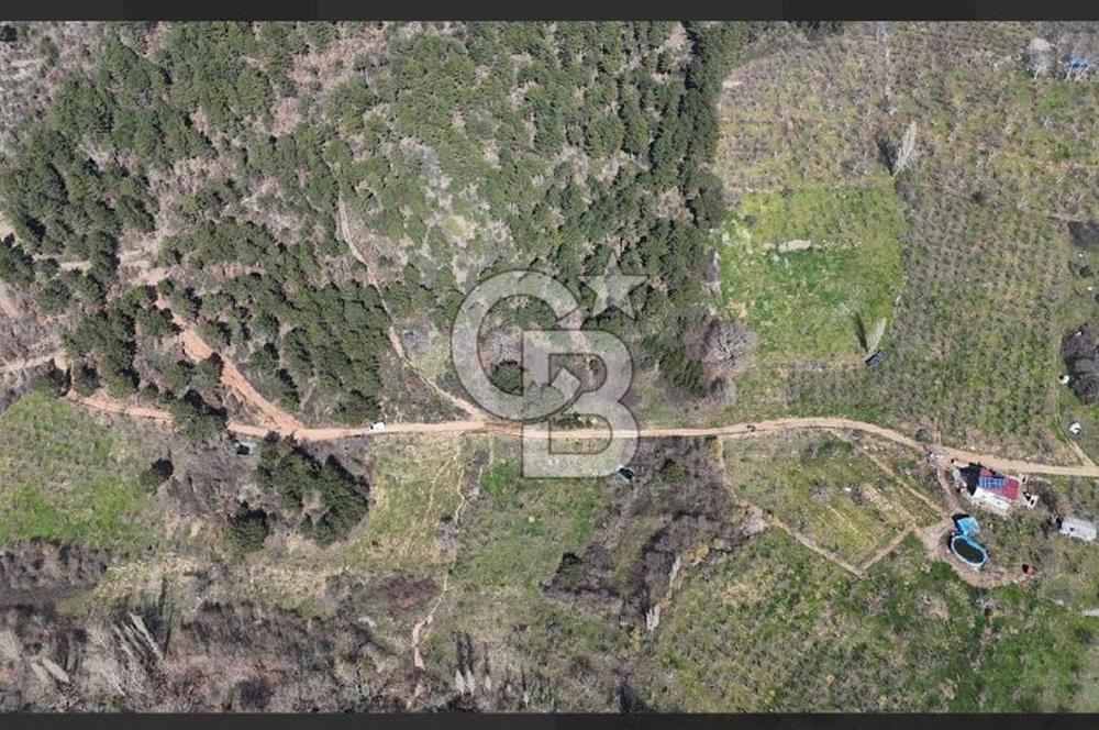 Bayındır Balcılarda 2.446m2 Tek Tapu Satılık Tarla