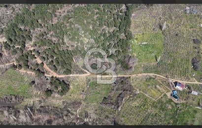 Bayındır Balcılarda 2.446m2 Tek Tapu Satılık Tarla