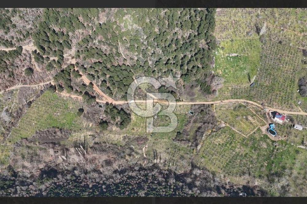 Bayındır Balcılarda 2.446m2 Tek Tapu Satılık Tarla