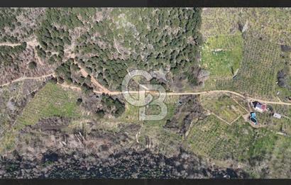 Bayındır Balcılarda 2.446m2 Tek Tapu Satılık Tarla
