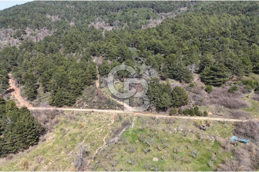Bayındır Balcılarda 2.446m2 Tek Tapu Satılık Tarla
