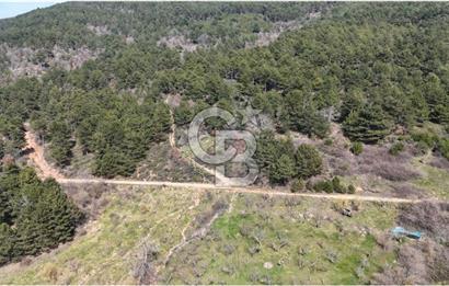 Bayındır Balcılarda 2.446m2 Tek Tapu Satılık Tarla