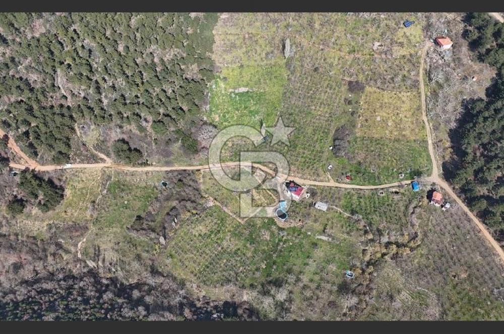 Bayındır Balcılarda 2.446m2 Tek Tapu Satılık Tarla