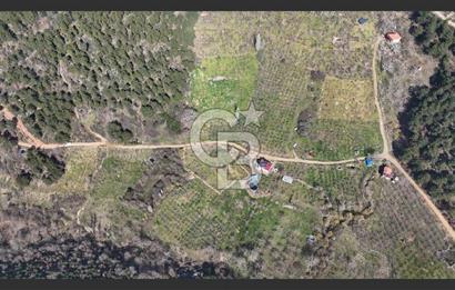 Bayındır Balcılarda 2.446m2 Tek Tapu Satılık Tarla