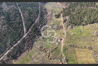 Bayındır Balcılarda 2.446m2 Tek Tapu Satılık Tarla - 3 - 358016