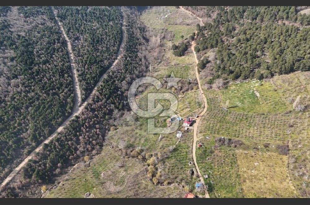 Bayındır Balcılarda 2.446m2 Tek Tapu Satılık Tarla