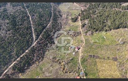 Bayındır Balcılarda 2.446m2 Tek Tapu Satılık Tarla