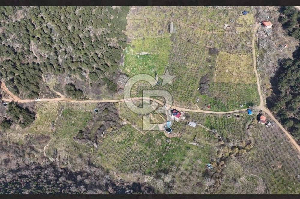 Bayındır Balcılarda 2.446m2 Tek Tapu Satılık Tarla