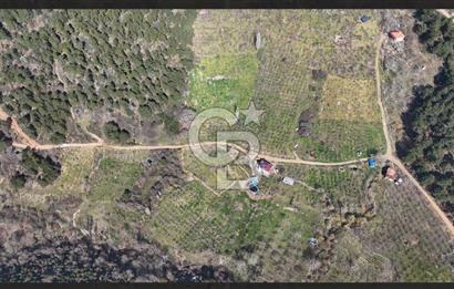Bayındır Balcılarda 2.446m2 Tek Tapu Satılık Tarla