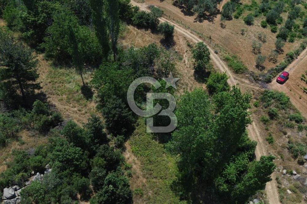 BAYRAMİÇ DALOBA KÖYÜNDE TEK FİYAT 2 TAPU