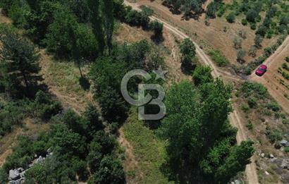 BAYRAMİÇ DALOBA KÖYÜNDE TEK FİYAT 2 TAPU