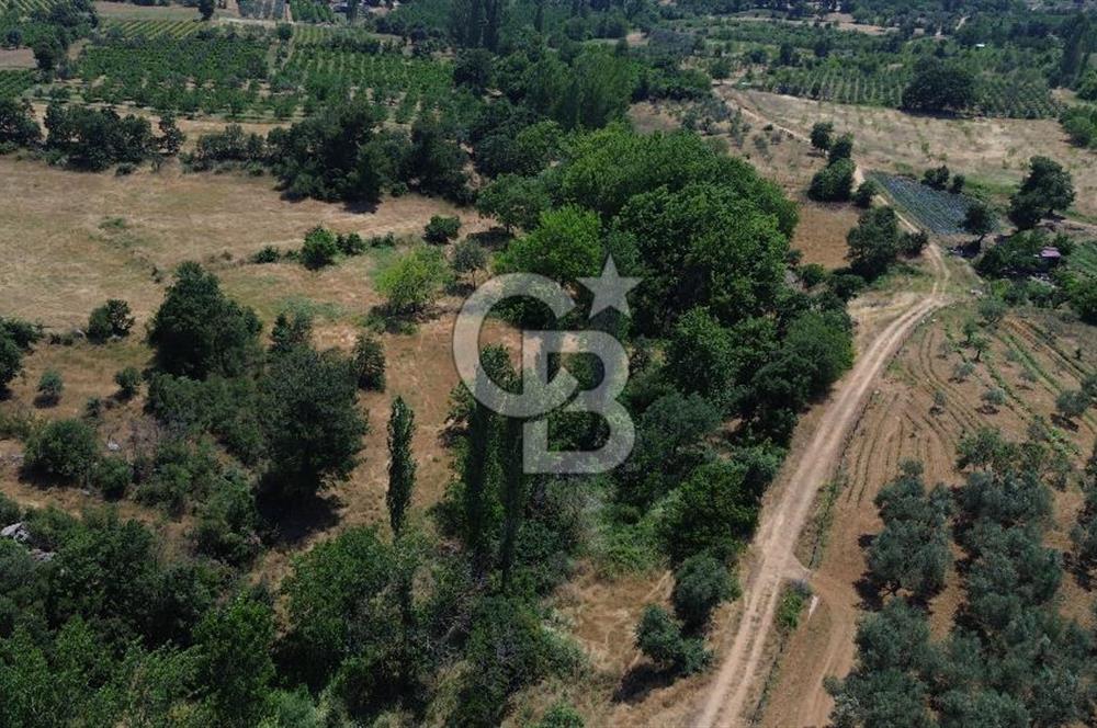 BAYRAMİÇ DALOBA KÖYÜNDE TEK FİYAT 2 TAPU