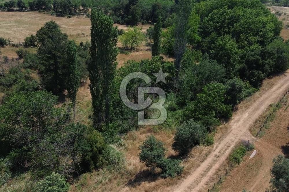 BAYRAMİÇ DALOBA KÖYÜNDE TEK FİYAT 2 TAPU