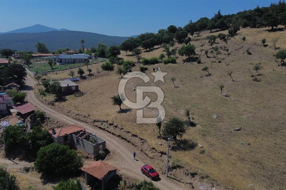 BAYRAMİÇ SÖĞÜTGEDİĞİ KÖYÜNDE SATILIK 1400 M2 ARSA