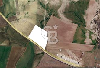 ANKARA SİNCAN ANAYURT'TA 15.861 m² YATIRIMLIK TARLA - 2 - 358087