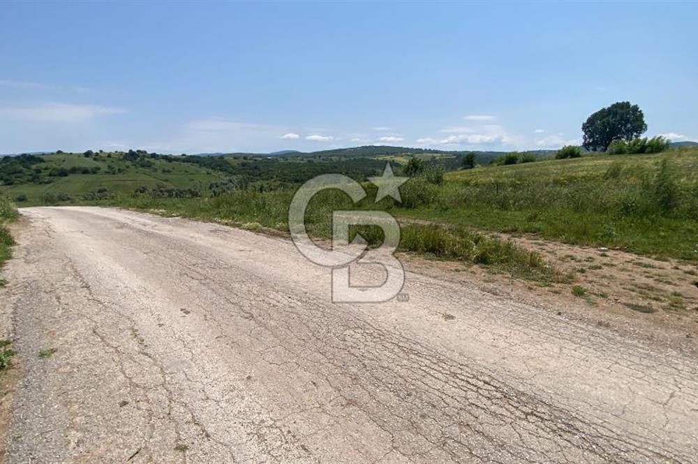 BİGA SAVAŞTEPE KÖTÜ SATILIK 2750 M2 TARLA