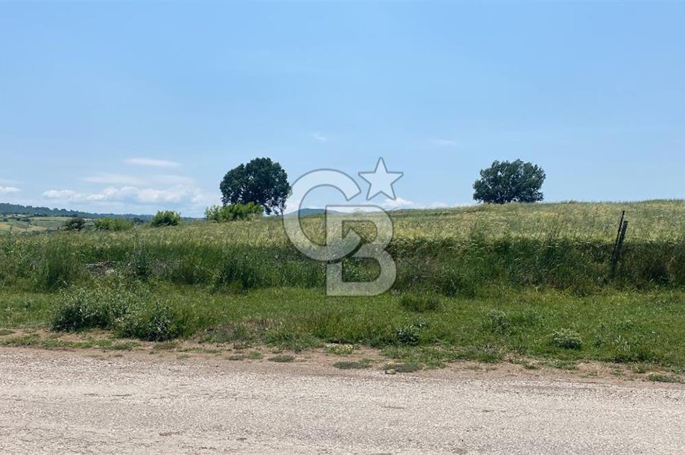 BİGA SAVAŞTEPE KÖTÜ SATILIK 2750 M2 TARLA