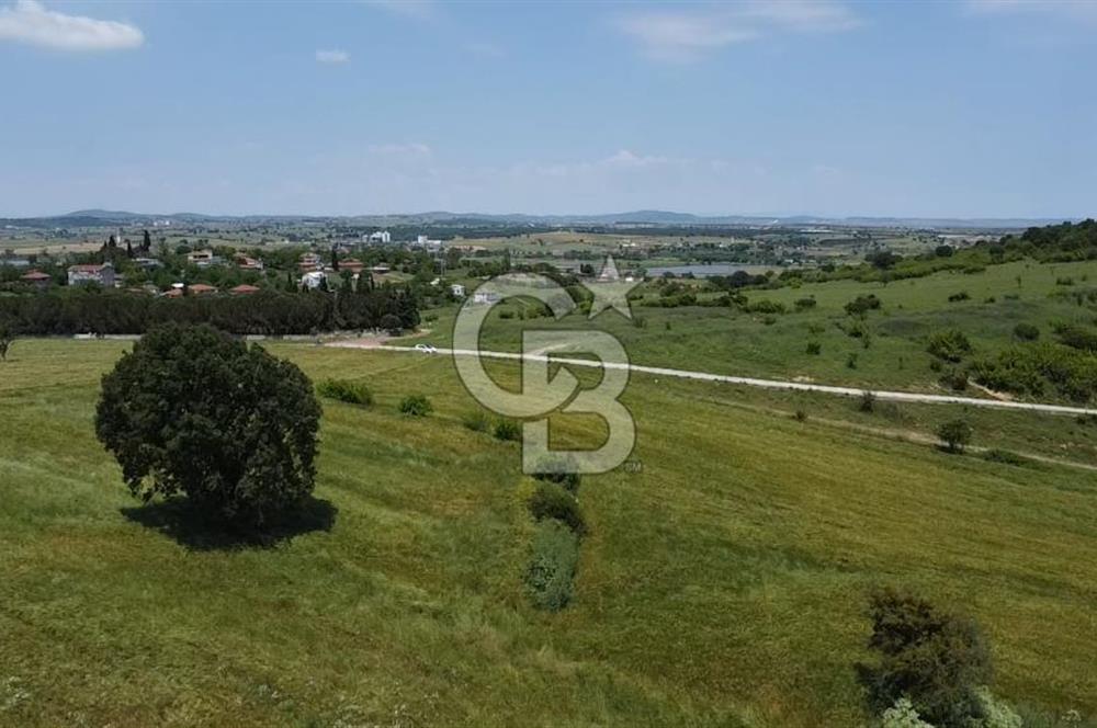 BİGA SAVAŞTEPE KÖTÜ SATILIK 2750 M2 TARLA