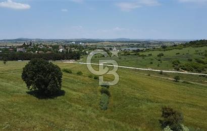 BİGA SAVAŞTEPE KÖTÜ SATILIK 2750 M2 TARLA