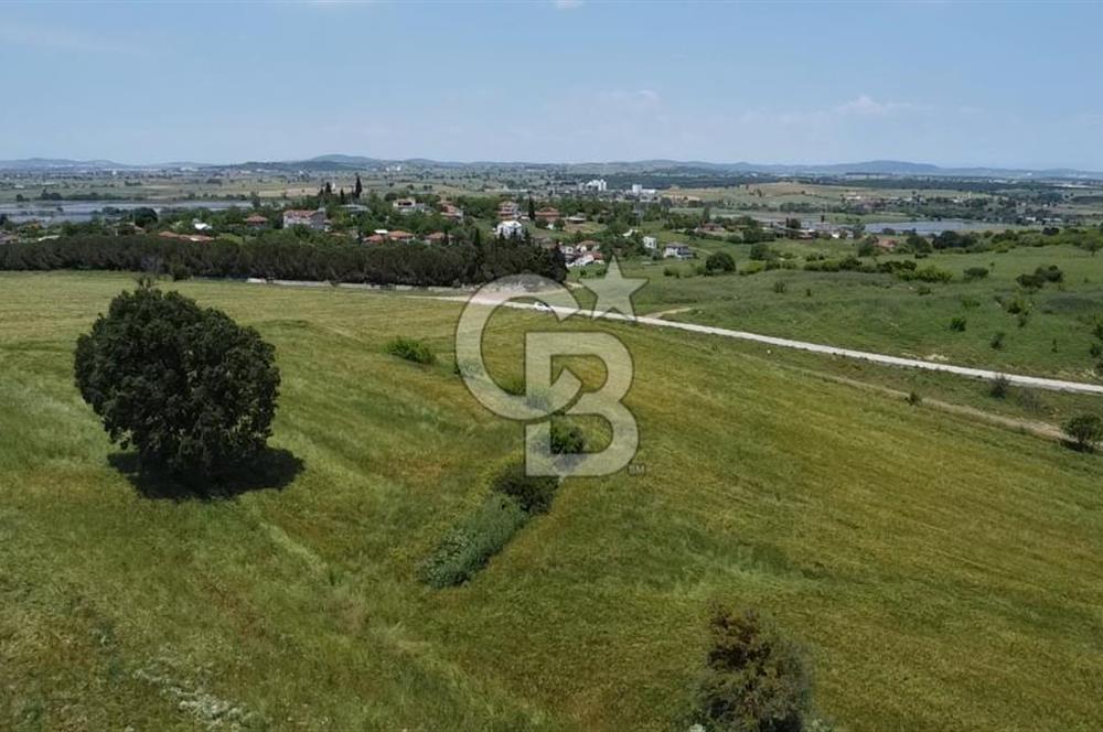 BİGA SAVAŞTEPE KÖTÜ SATILIK 2750 M2 TARLA