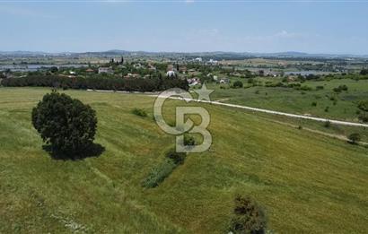 BİGA SAVAŞTEPE KÖTÜ SATILIK 2750 M2 TARLA
