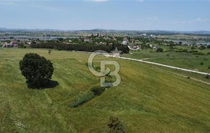 BİGA SAVAŞTEPE KÖTÜ SATILIK 2750 M2 TARLA