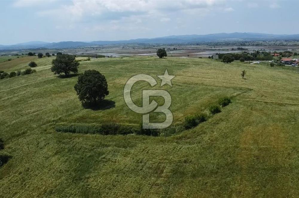 BİGA SAVAŞTEPE KÖTÜ SATILIK 2750 M2 TARLA