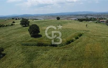 BİGA SAVAŞTEPE KÖTÜ SATILIK 2750 M2 TARLA