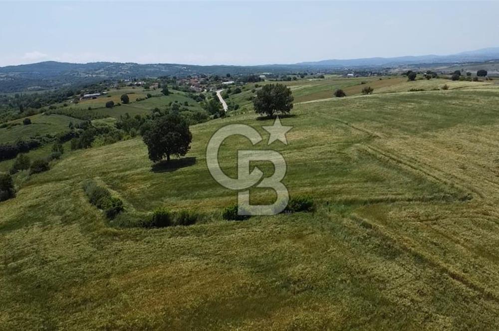 BİGA SAVAŞTEPE KÖTÜ SATILIK 2750 M2 TARLA