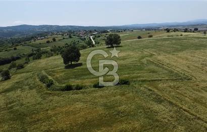 BİGA SAVAŞTEPE KÖTÜ SATILIK 2750 M2 TARLA