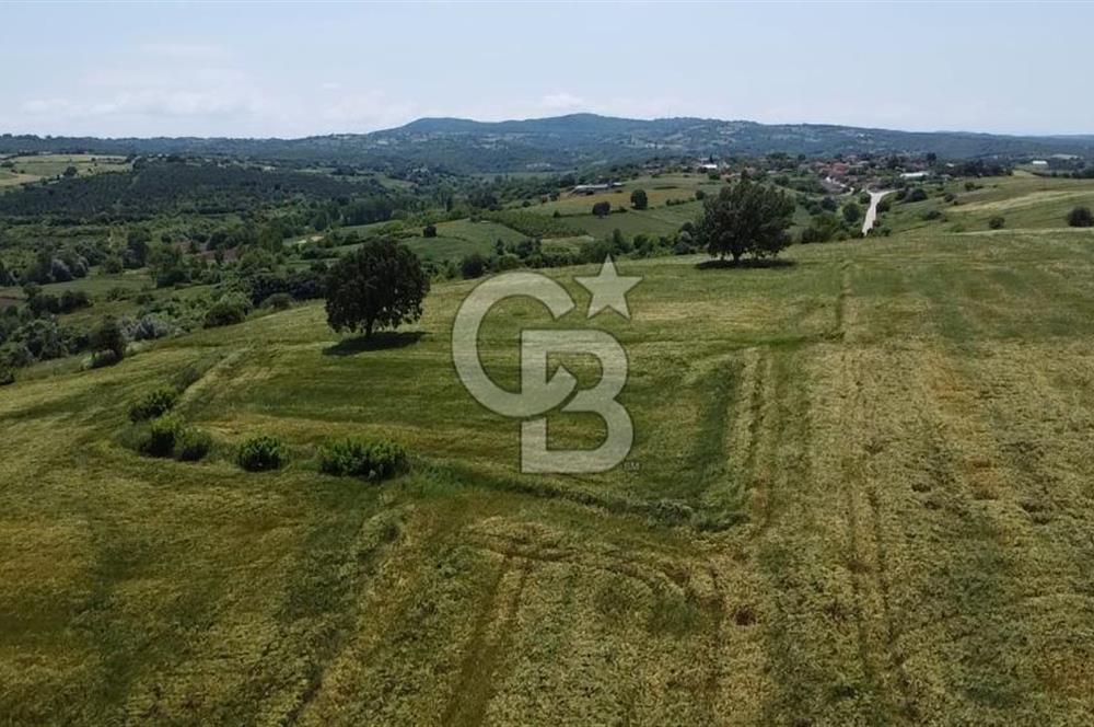 BİGA SAVAŞTEPE KÖTÜ SATILIK 2750 M2 TARLA