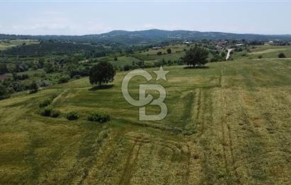 BİGA SAVAŞTEPE KÖTÜ SATILIK 2750 M2 TARLA