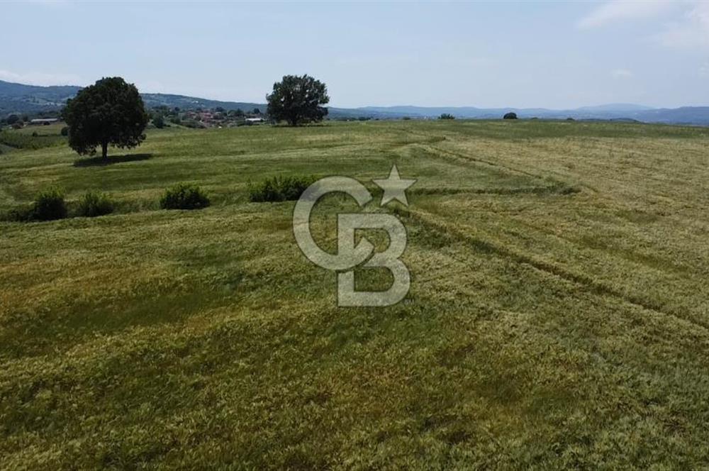 BİGA SAVAŞTEPE KÖTÜ SATILIK 2750 M2 TARLA