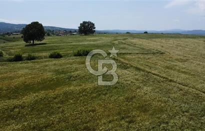 BİGA SAVAŞTEPE KÖTÜ SATILIK 2750 M2 TARLA