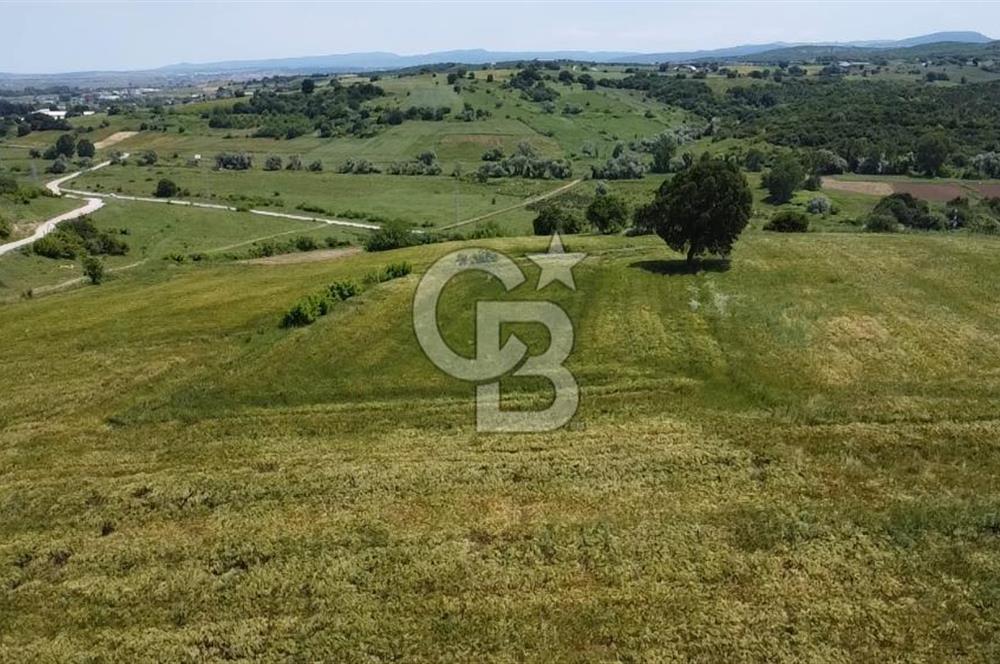 BİGA SAVAŞTEPE KÖTÜ SATILIK 2750 M2 TARLA