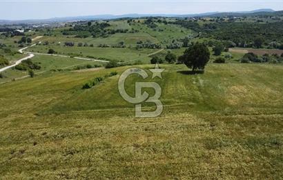 BİGA SAVAŞTEPE KÖTÜ SATILIK 2750 M2 TARLA