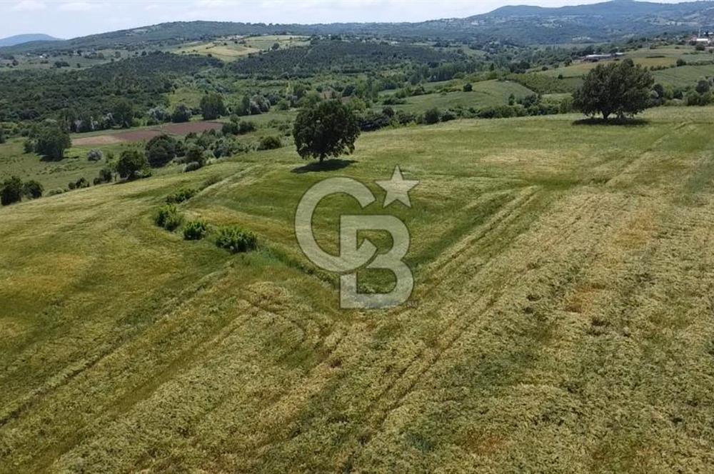 BİGA SAVAŞTEPE KÖTÜ SATILIK 2750 M2 TARLA