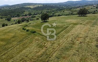 BİGA SAVAŞTEPE KÖTÜ SATILIK 2750 M2 TARLA